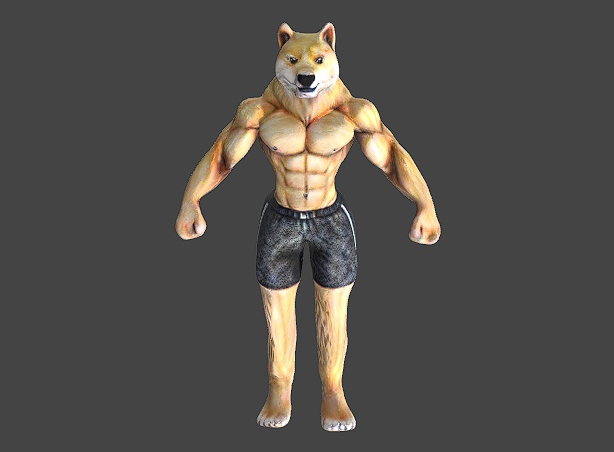 DOGE на 30 дней
